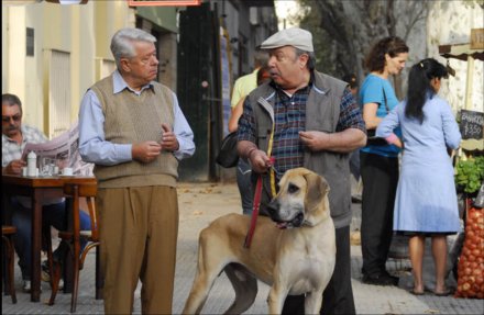 Immagine di Scusate il disturbo con Lino Banfi: storia di tre generazioni di italo-argentini - Scopri su Televisione